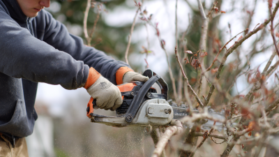 Mastering the Art of Pruning Techniques with a Reciprocating Saw